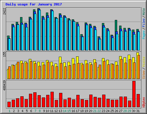 Daily usage for January 2017