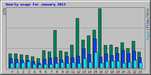 Hourly usage for January 2013