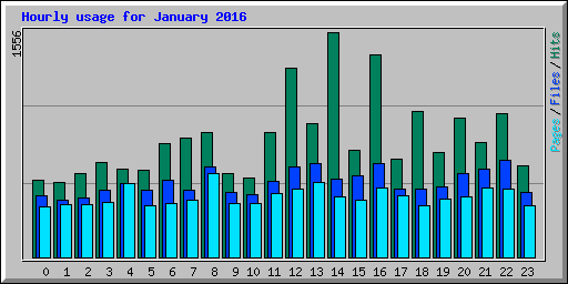 Hourly usage for January 2016