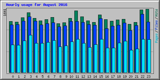 Hourly usage for August 2016