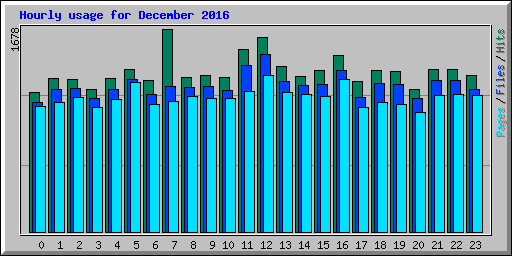Hourly usage for December 2016
