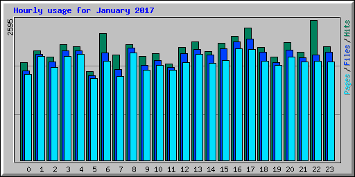 Hourly usage for January 2017
