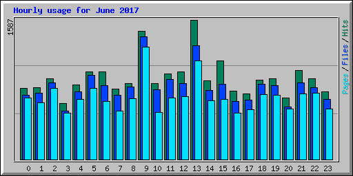 Hourly usage for June 2017